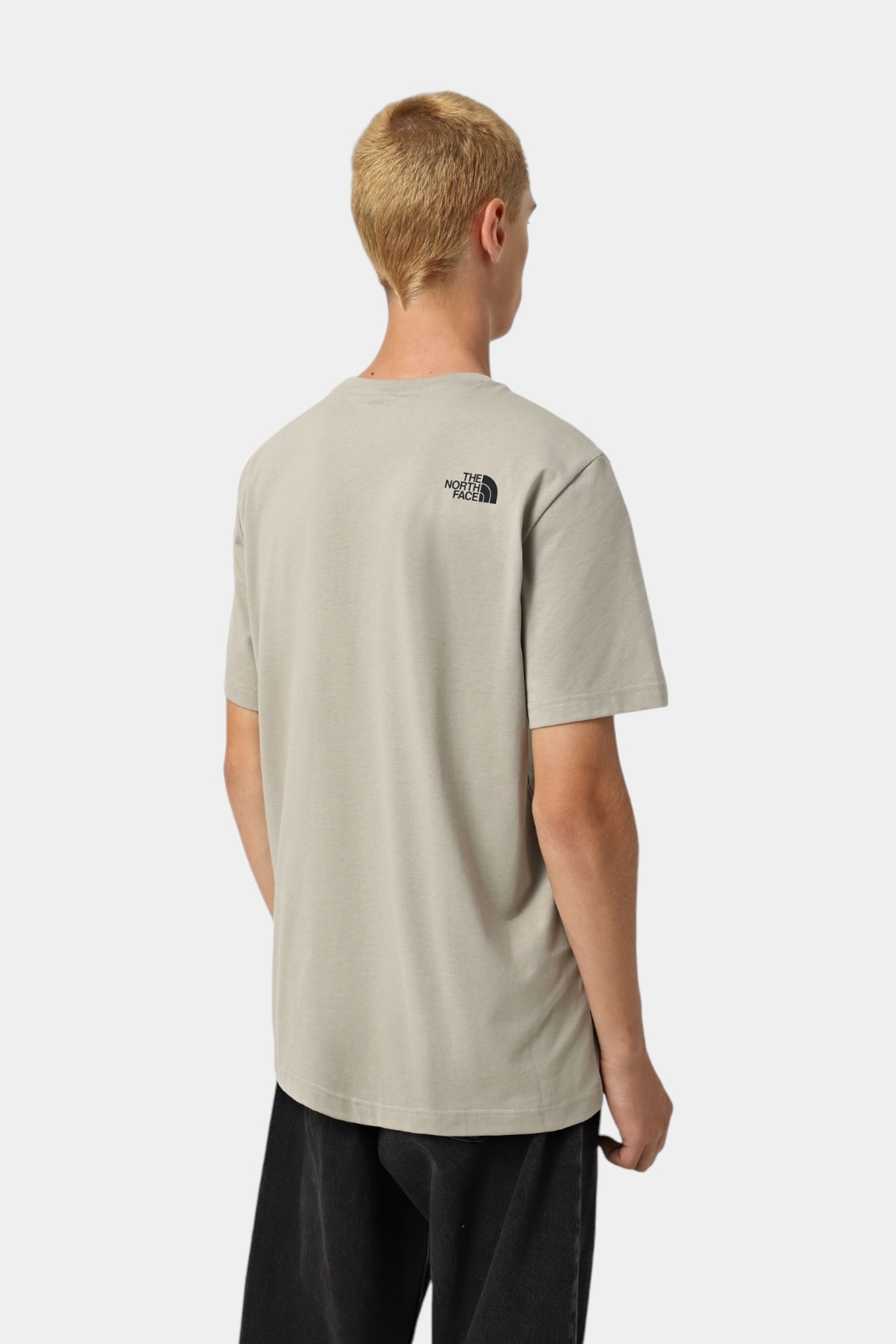 Оливковая футболка S/S Easy Tee Graphic Infill NF0A8A3W9IT1 The North Face